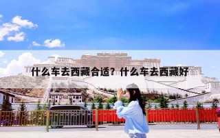 什么车去西藏合适？什么车去西藏好