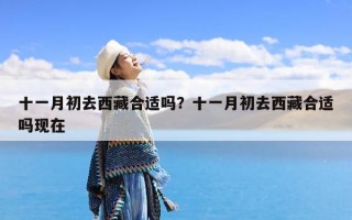 十一月初去西藏合适吗？十一月初去西藏合适吗现在