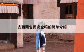 去西藏包团安全吗的简单介绍