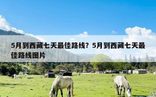 5月到西藏七天最佳路线？5月到西藏七天最佳路线图片