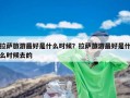 拉萨旅游最好是什么时候？拉萨旅游最好是什么时候去的