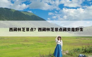 西藏林芝景点？西藏林芝景点藏贝是野生