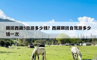 跟团西藏5日游多少钱？西藏跟团自驾游多少钱一次