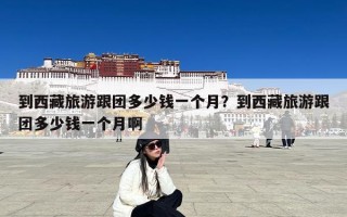 到西藏旅游跟团多少钱一个月？到西藏旅游跟团多少钱一个月啊