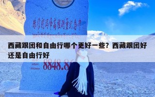 西藏跟团和自由行哪个更好一些？西藏跟团好还是自由行好