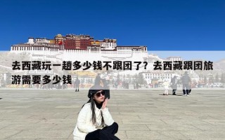去西藏玩一趟多少钱不跟团了？去西藏跟团旅游需要多少钱