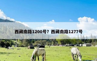 西藏南路1200号？西藏南路1277号