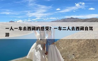 一人一车去西藏的感受？一车二人去西藏自驾游