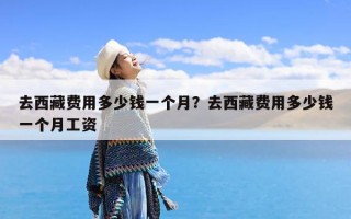 去西藏费用多少钱一个月？去西藏费用多少钱一个月工资