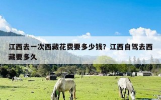 江西去一次西藏花费要多少钱？江西自驾去西藏要多久