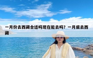 一月份去西藏合适吗现在能去吗？一月底去西藏
