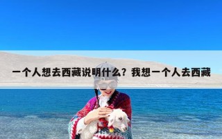 一个人想去西藏说明什么？我想一个人去西藏