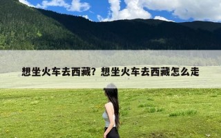 想坐火车去西藏？想坐火车去西藏怎么走