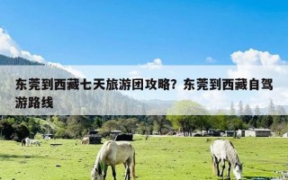 东莞到西藏七天旅游团攻略？东莞到西藏自驾游路线