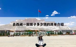 去西藏一圈银子多少钱的简单介绍