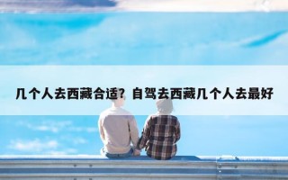 几个人去西藏合适？自驾去西藏几个人去最好