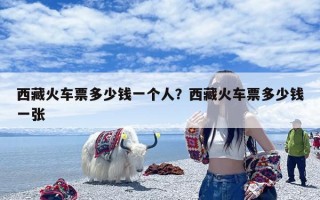 西藏火车票多少钱一个人？西藏火车票多少钱一张