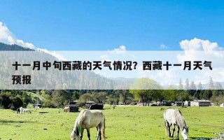 十一月中旬西藏的天气情况？西藏十一月天气预报