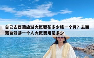 自己去西藏旅游大概要花多少钱一个月？去西藏自驾游一个人大概费用是多少