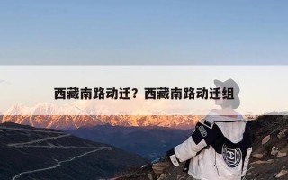 西藏南路动迁？西藏南路动迁组
