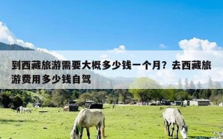 到西藏旅游需要大概多少钱一个月？去西藏旅游费用多少钱自驾