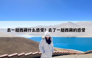 去一趟西藏什么感受？去了一趟西藏的感受
