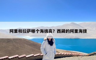 阿里和拉萨哪个海拔高？西藏的阿里海拨