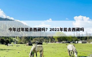 今年过年能去西藏吗？2021年能去西藏吗