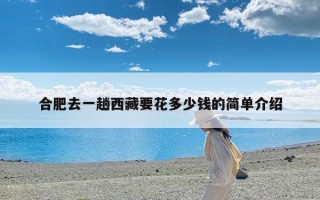 合肥去一趟西藏要花多少钱的简单介绍