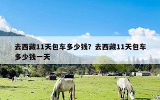 去西藏11天包车多少钱？去西藏11天包车多少钱一天