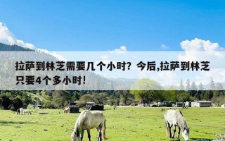 拉萨到林芝需要几个小时？今后,拉萨到林芝只要4个多小时!