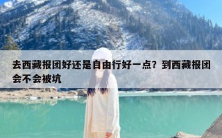 去西藏报团好还是自由行好一点？到西藏报团会不会被坑