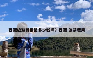 西藏旅游费用是多少钱啊？西藏 旅游费用
