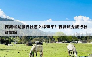 西藏域龙旅行社怎么样知乎？西藏域龙旅行社可靠吗