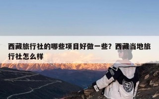 西藏旅行社的哪些项目好做一些？西藏当地旅行社怎么样