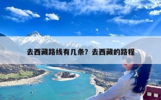 去西藏路线有几条？去西藏的路程