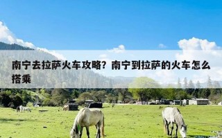 南宁去拉萨火车攻略？南宁到拉萨的火车怎么搭乘