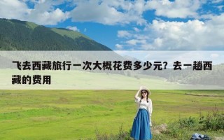 飞去西藏旅行一次大概花费多少元？去一趟西藏的费用
