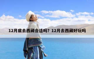 12月底去西藏合适吗？12月去西藏好玩吗