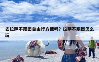 去拉萨不跟团自由行方便吗？拉萨不跟团怎么玩