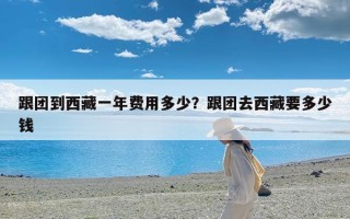 跟团到西藏一年费用多少？跟团去西藏要多少钱