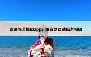 西藏旅游报团app？西安到西藏旅游报团