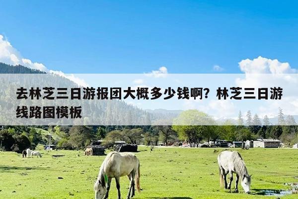 去林芝三日游报团大概多少钱啊?林芝三日游线路图模板