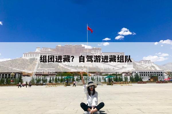 组团进藏?自驾游进藏组队