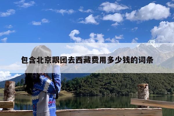 包含北京跟团去西藏费用多少钱的词条