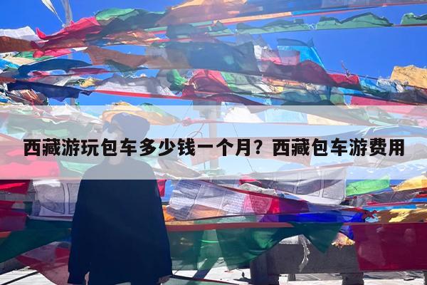 西藏游玩包车多少钱一个月?西藏包车游费用