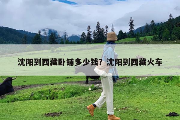 沈阳到西藏卧铺多少钱?沈阳到西藏火车