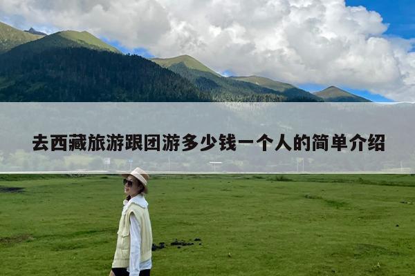 去西藏旅游跟团游多少钱一个人的简单介绍