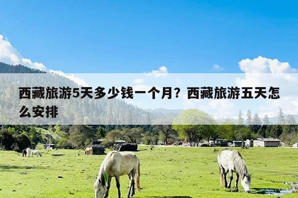 西藏旅游5天多少钱一个月?西藏旅游五天怎么安排