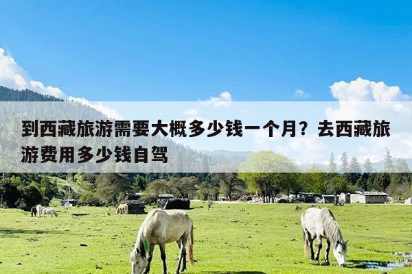 到西藏旅游需要大概多少钱一个月?去西藏旅游费用多少钱自驾